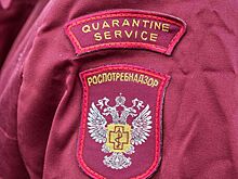 В России не выявили новых случаев заболевания коронавирусом