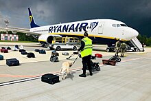 Захарова о Ryanair: Действия Беларуси соответствовали международным правилам