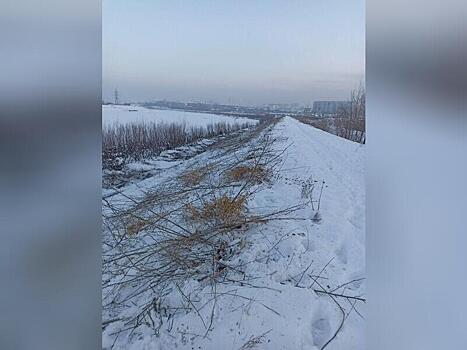 На дамбе реки Читы идёт зимняя срезка кустарника