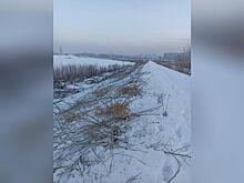 На дамбе реки Читы идёт зимняя срезка кустарника