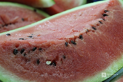 Нижегородцам с аллергией на полынь не советуют есть дыни и арбузы