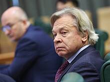 «Русофобия порождает глупость»: Пушков прокомментировал слова Стубба о России