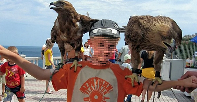 Снимок на память ценою в жизнь: к каким последствиям ведет фото с животными на черноморском побережье