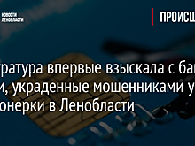 Прокуратура впервые взыскала с банка деньги, украденные мошенниками у пенсионерки в Ленобласти