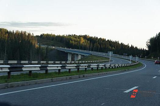Платная трасса Москва – Санкт-Петербург будет полностью покрыта сотовой связью в начале 2020 года