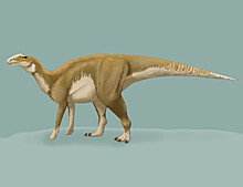 Легенды древней Земли: гадрозавр