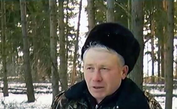 Щепки летят