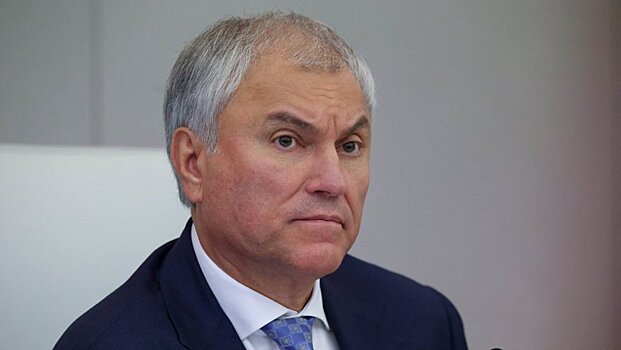 Председатель ГД: ответственность за диверсии будет жесткой, но это делается в интересах граждан, их безопасности