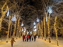 Неработающих лентяев подсчитали в Новосибирской области