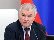 «Вы хорошо подумали?»: За что Вячеслав Володин устроил разнос Толстому и Калашникову?