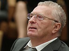 Собянин присвоил улице на западе Москвы имя Жириновского