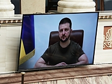 Экс-сенатор США Блэк назвал абсурдным желание Зеленского «вернуть» Крым