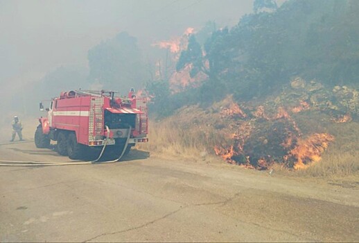 Ущерб от пожара в Абраусском заказнике под Новороссийском превысил 5 млрд рублей