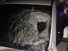 В Шпаковском районе женшина-водитель на иномарке насмерть сбила пешехода