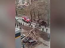 В результате урагана в Кемеровской области погибли три человека