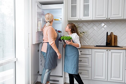 Врач Парецкая: холодильник с системой no frost нужно размораживать раз в полгода