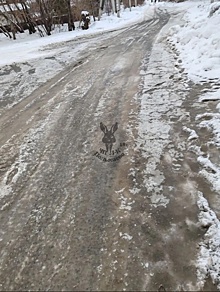 "Стоит амбре": зловонная жидкость залила улицу в кузбасском городе