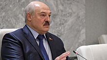 Лукашенко заявил о снижении поголовья свиней в Белоруссии