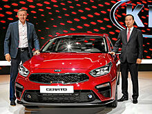 D-сегмент авторынка России: самую большую выручку принесла KIA Optima