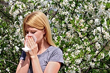 Аллерголог пояснил, какие продукты нельзя есть при аллергии на пыльцу