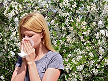 Аллерголог пояснил, какие продукты нельзя есть при аллергии на пыльцу