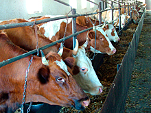 Фонд льготного кредитования аграриев может быть увеличен до 70 миллиардов рублей