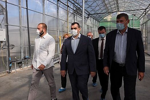 Свердловские власти совместно с Минсельхозом РФ начали подготовку к Всероссийскому дню поля-2021