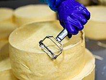 Неправильный сыр: в России нашли предприятия-фантомы по производству молочной продукции