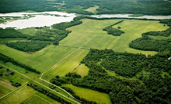В Хабаровском крае под раздачу попали более 100 тыс гектаров