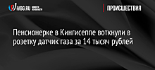 Пенсионерке в Кингисеппе воткнули в розетку датчик газа за 14 тысяч рублей