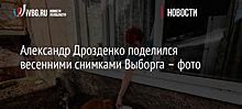 Александр Дрозденко поделился весенними снимками Выборга – фото