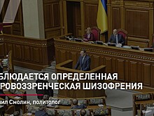 Михаил Смолин, политолог