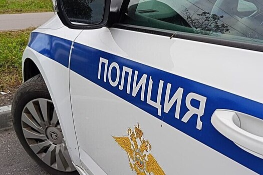 Сын угрожал убить стулом престарелых родителей