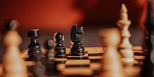 Главные новости за ночь: шахматное противостояние, подозрительный кашель Байдена и древнейший чайный лист