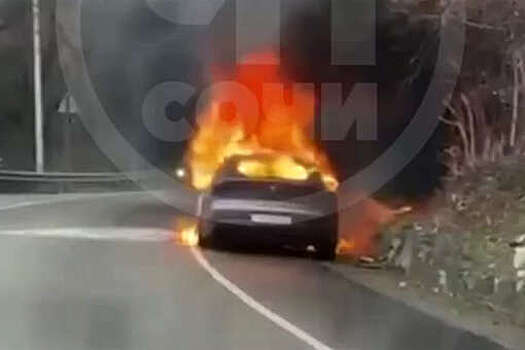 В Сочи на видео сняли иномарку, вспыхнувшую на дороге