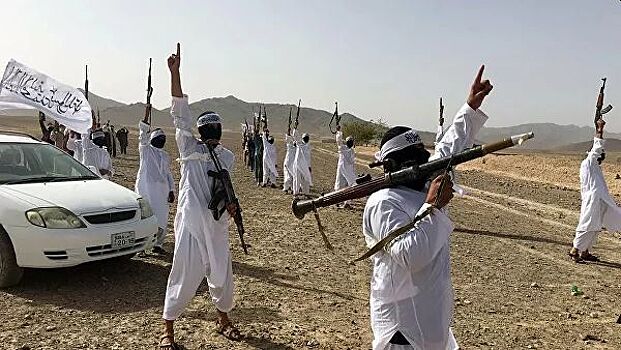 Талибан предложил США перемирие