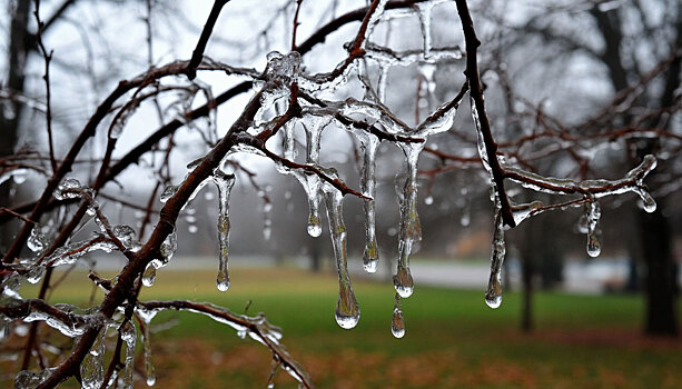 Жителям Московской области напомнили о правилах безопасности во время ледяного дождя