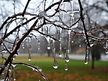 Жителям Московской области напомнили о правилах безопасности во время ледяного дождя
