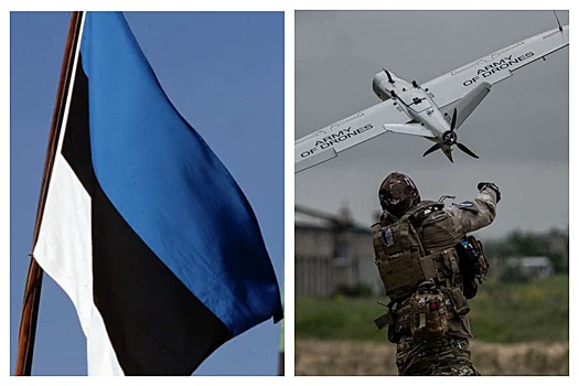 Классический casus belli. Украина «напала» на Эстонию: как игра с огнем может раздуть пламя большой войны