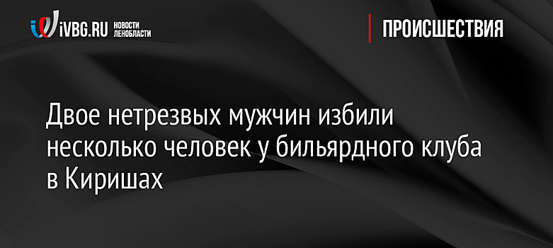 Двое нетрезвых мужчин избили несколько человек у бильярдного клуба в Киришах