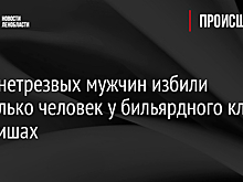 Двое нетрезвых мужчин избили несколько человек у бильярдного клуба в Киришах