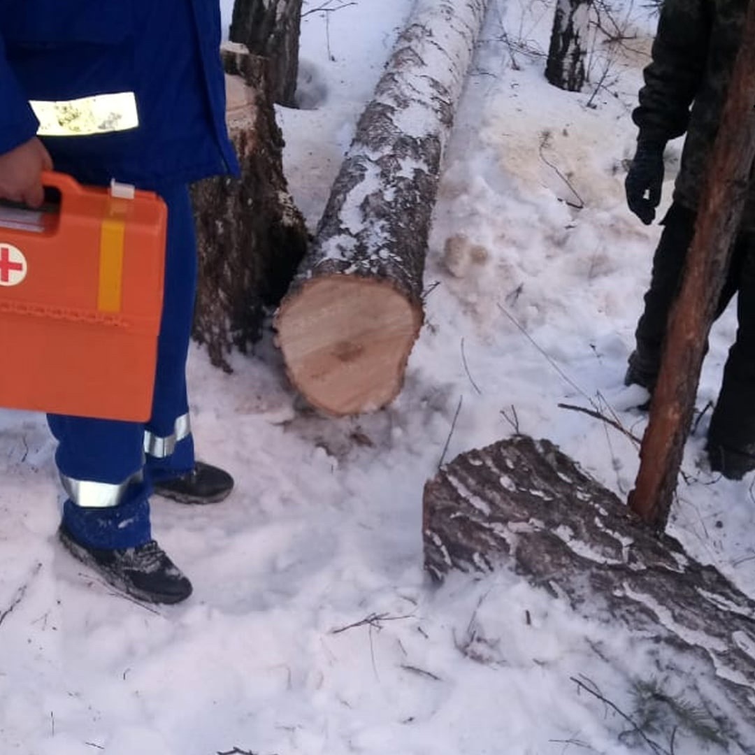 Под Кыштымом спиленное дерево изувечило лесоруба