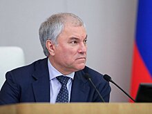 Володин заявил, что территории Арктической зоны РФ развиваются высокими темпами