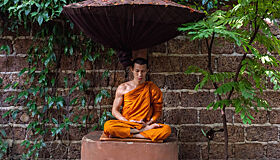 Ученые заглянули в мозг медитирующего буддистского монаха