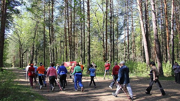 Объявлен дополнительный прием в секцию скандинавской ходьбы в Тимирязевском парке
