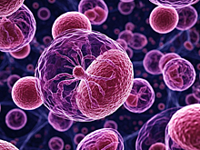 В Китае смогли обратить старение вспять