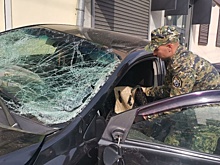 Шапша: Сбивший 11 человек в Калуге был под наркотиками