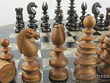 Женская сборная России в шаге от победы на командном чемпионате мира по шахматам
