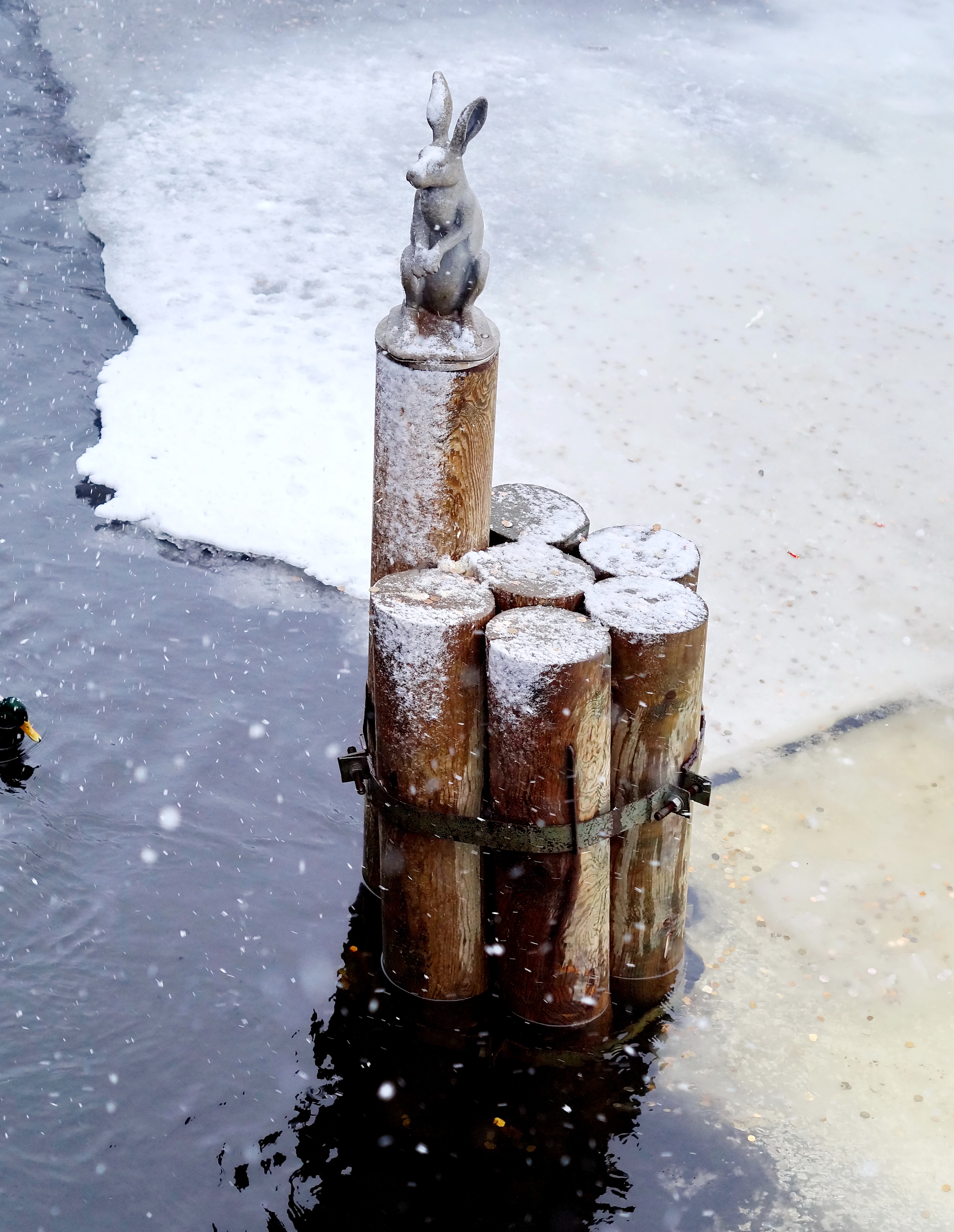 Памятник зайцу, Санкт-Петербург, Российская Федерация