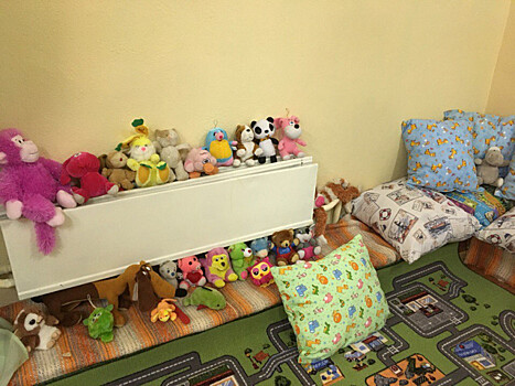 В Петрозаводске открыли центр канистерапии